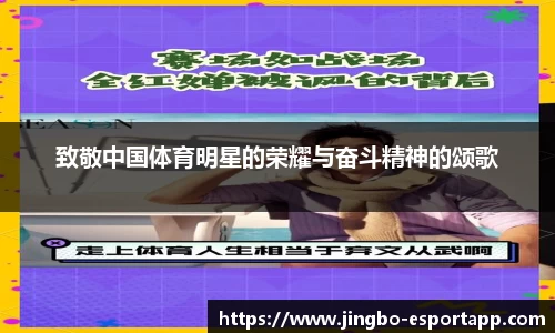 致敬中国体育明星的荣耀与奋斗精神的颂歌